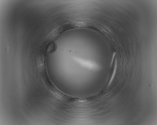 X0000067350507200603311156