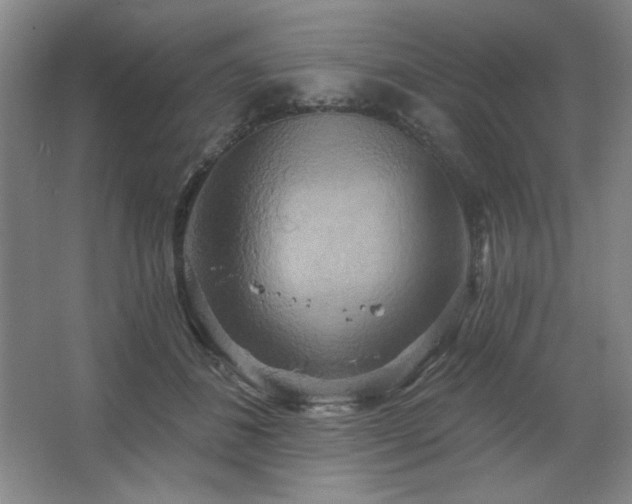 X0000067350508200603311156