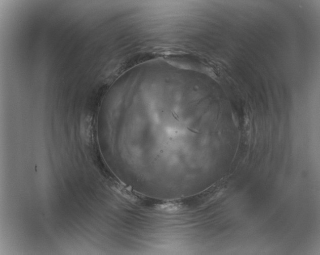 X0000067350511200603311156