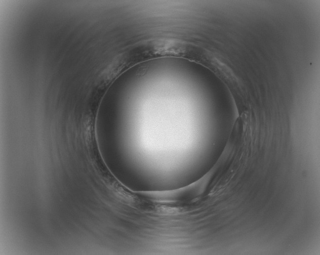 X0000067350513200603311155