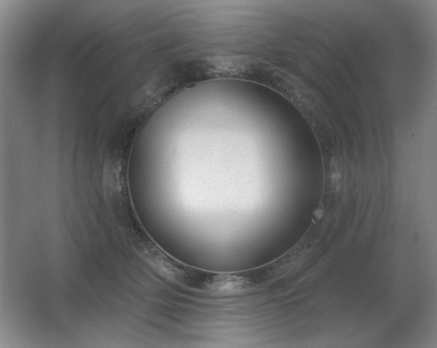 X0000067350514200603311155