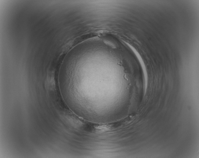 X0000067350516200603311155