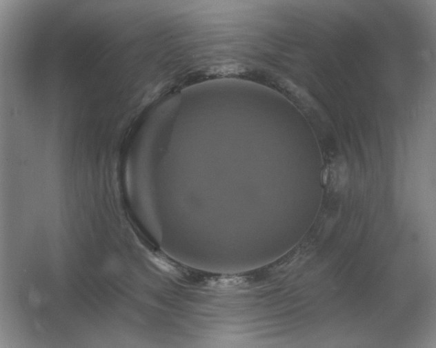 X0000067350517200603311155