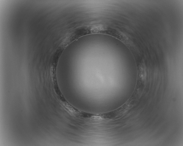 X0000067350519200603311155