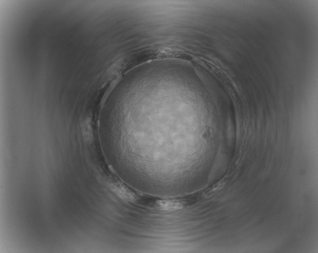 X0000067350520200603311155