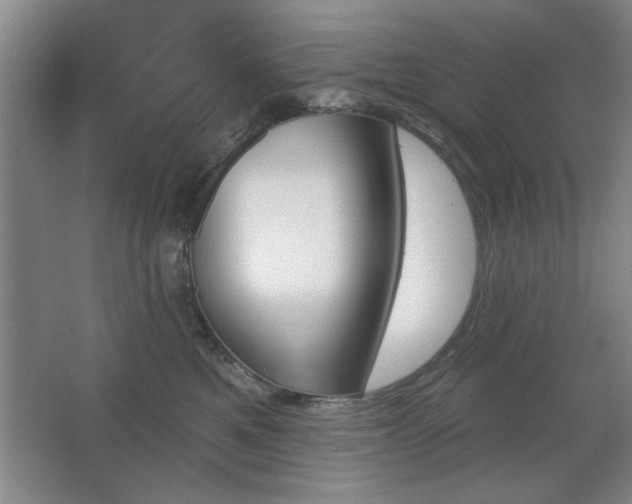 X0000067350521200603311155
