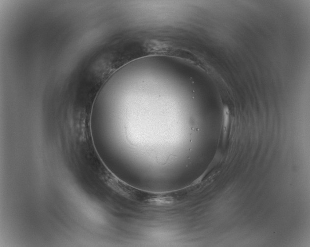 X0000067350525200603311155