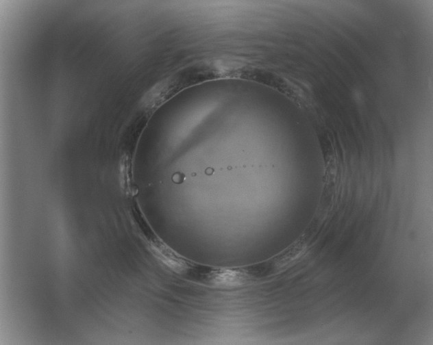 X0000067350527200603311155