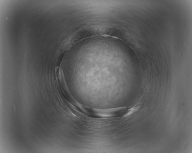X0000067350528200603311155