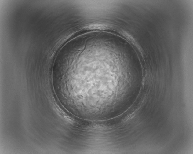 X0000067350529200603311154