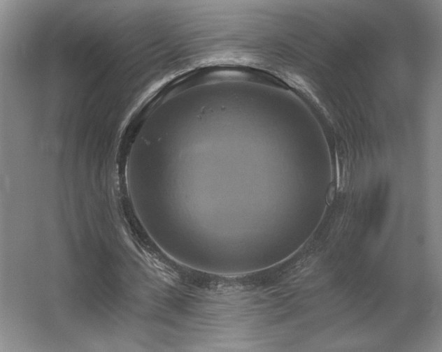 X0000067350531200603311154