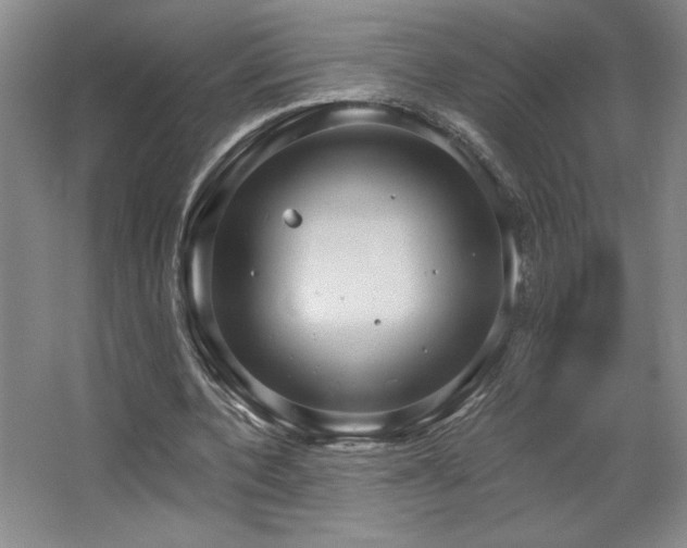X0000067350532200603311154