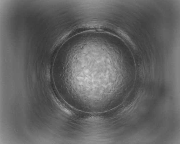 X0000067350537200603311155