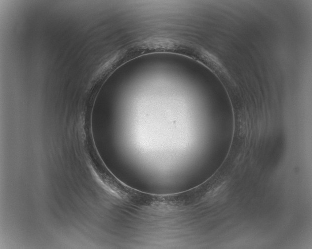 X0000067350538200603311155