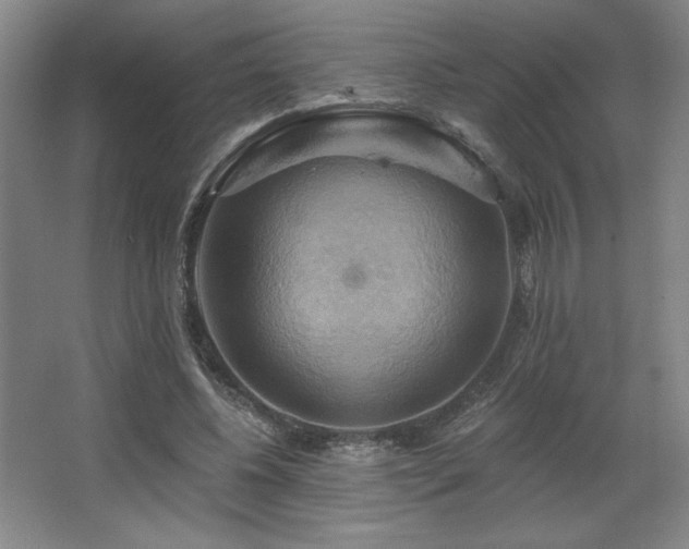 X0000067350540200603311155