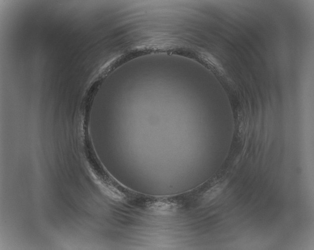 X0000067350542200603311155