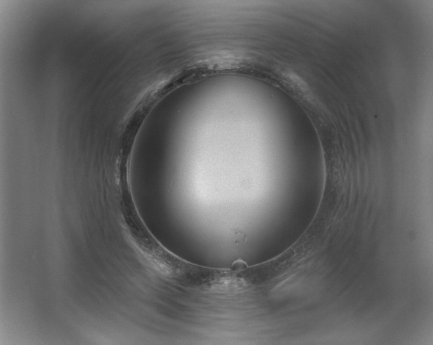 X0000067350543200603311155