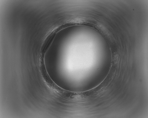 X0000067350544200603311155