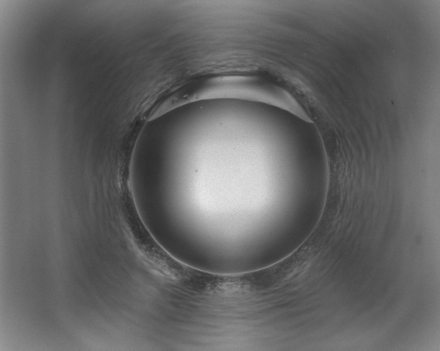 X0000067350546200603311155