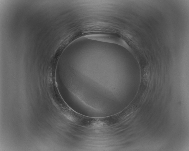 X0000067350547200603311155