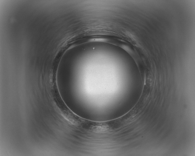 X0000067350548200603311155
