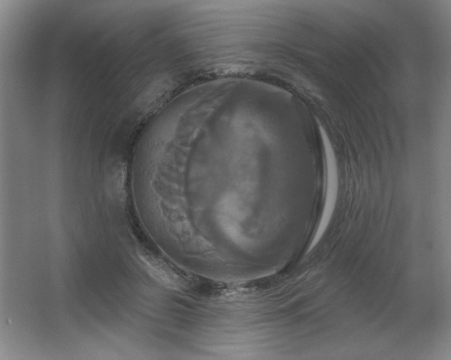 X0000067350550200603311155