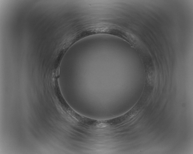 X0000067350551200603311155