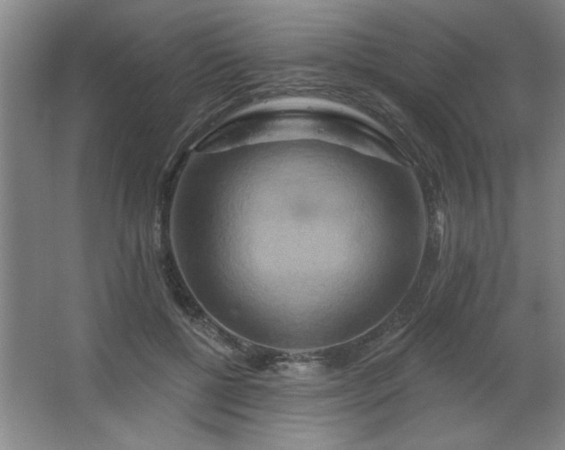 X0000067350552200603311155