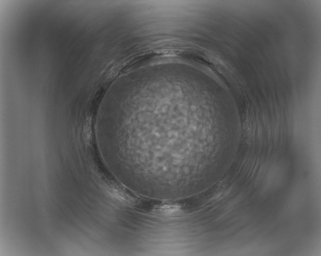 X0000067350554200603311155