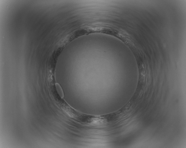 X0000067350555200603311155