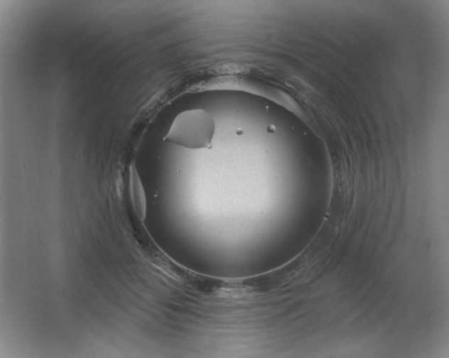 X0000067350556200603311155
