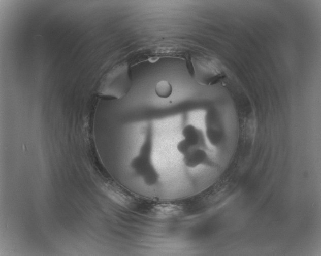 X0000067350557200603311155