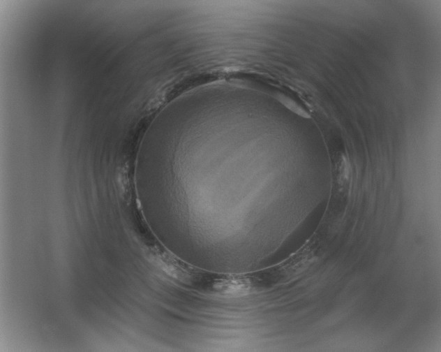 X0000067350559200603311155