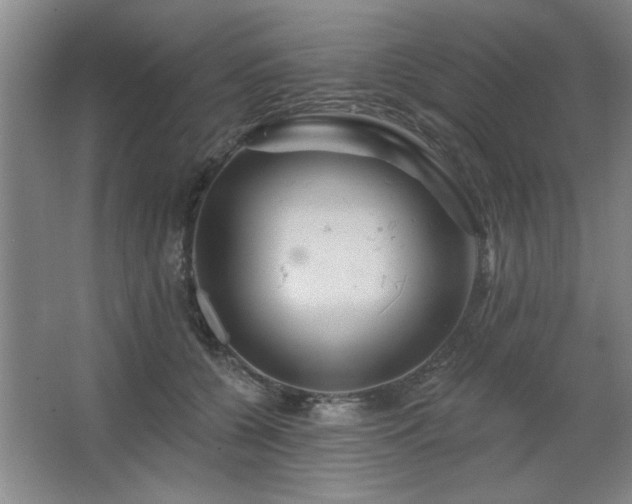 X0000067350560200603311155