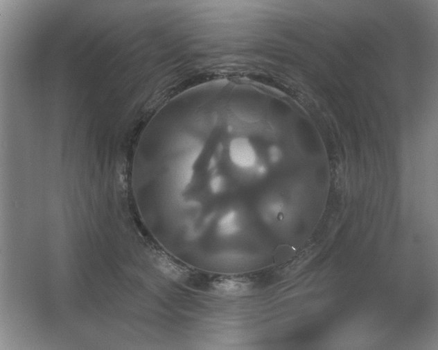 X0000067350561200603311155