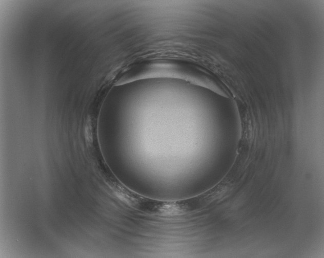 X0000067350562200603311155