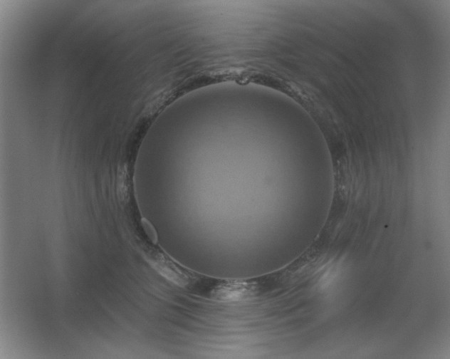 X0000067350563200603311155