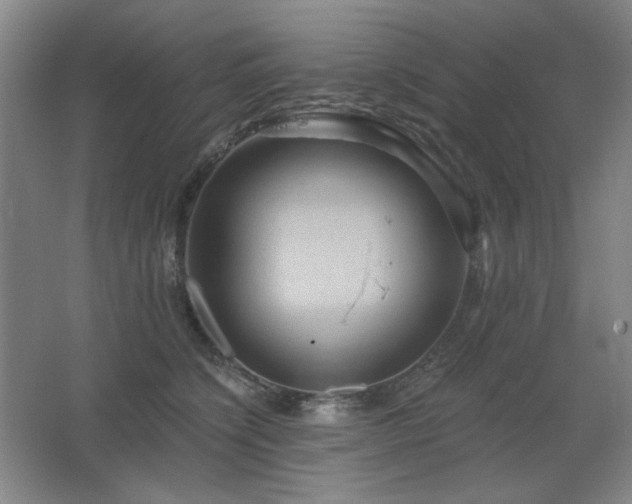 X0000067350564200603311155