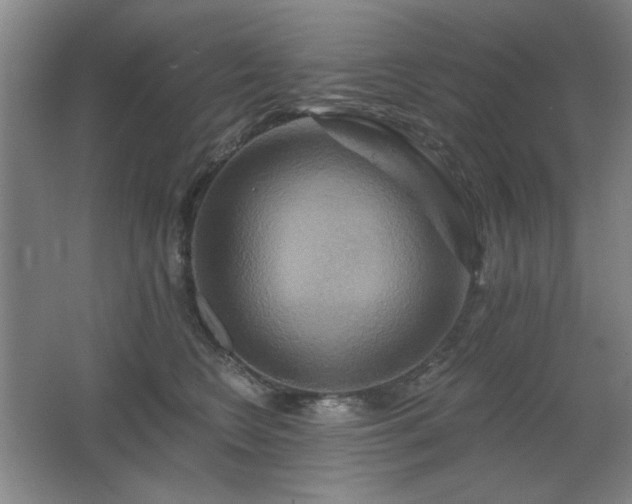 X0000067350566200603311155