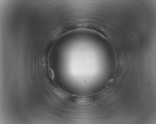 X0000067350567200603311155