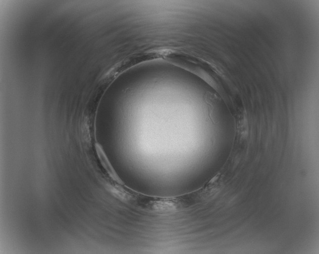 X0000067350572200603311155