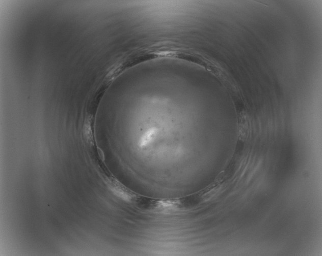 X0000067350573200603311155