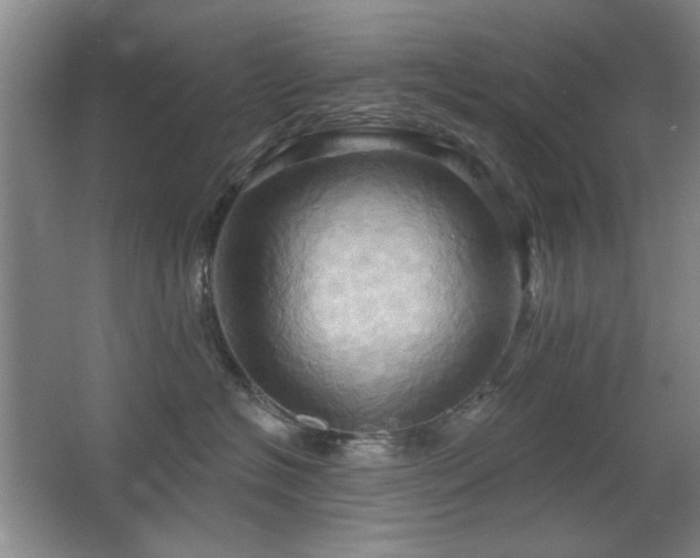 X0000067350574200603311155
