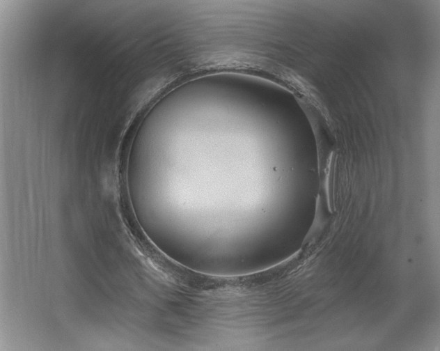 X0000067350578200603311154