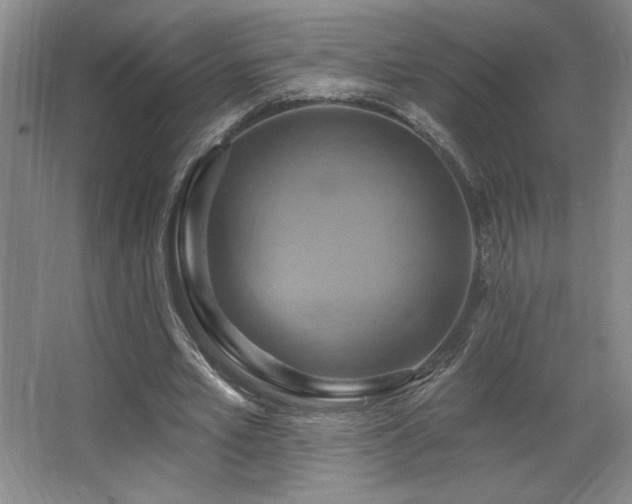 X0000067350581200603311154