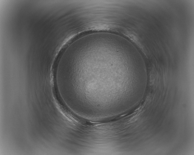 X0000067350584200603311154