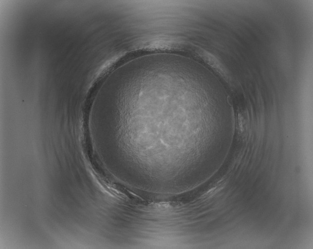 X0000067350588200603311154