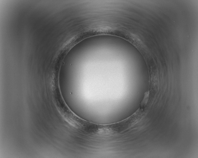 X0000067350591200603311154