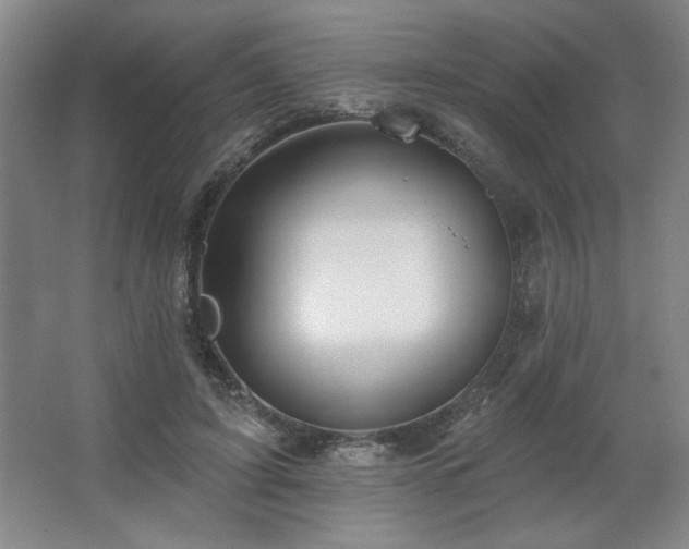 X0000067350595200603311154