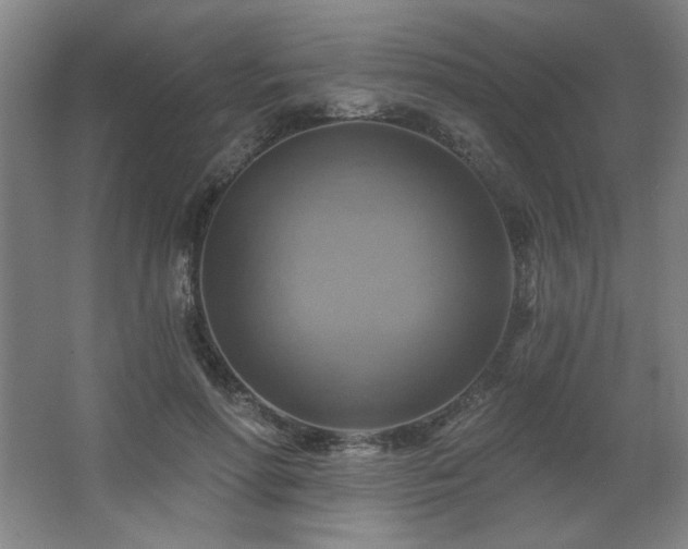 X0000067350598200603311154